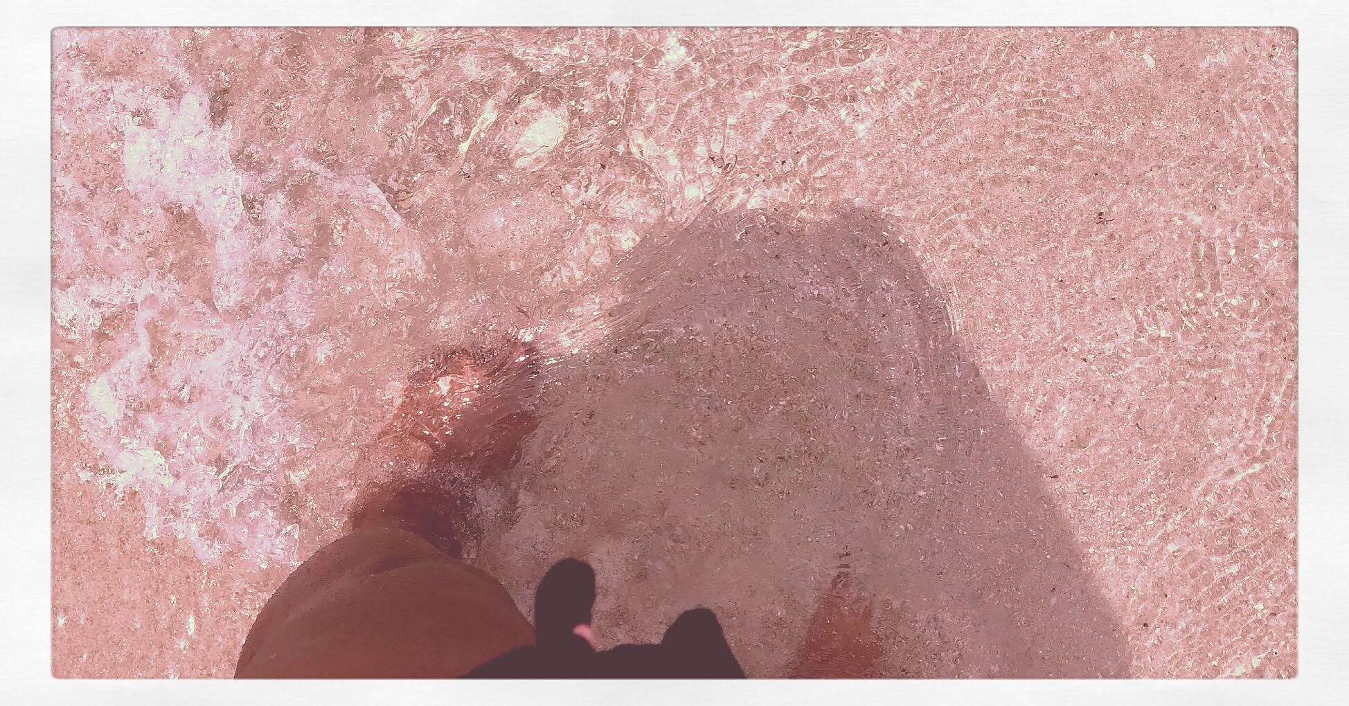 Ft Lauderdale Beach Pics 6