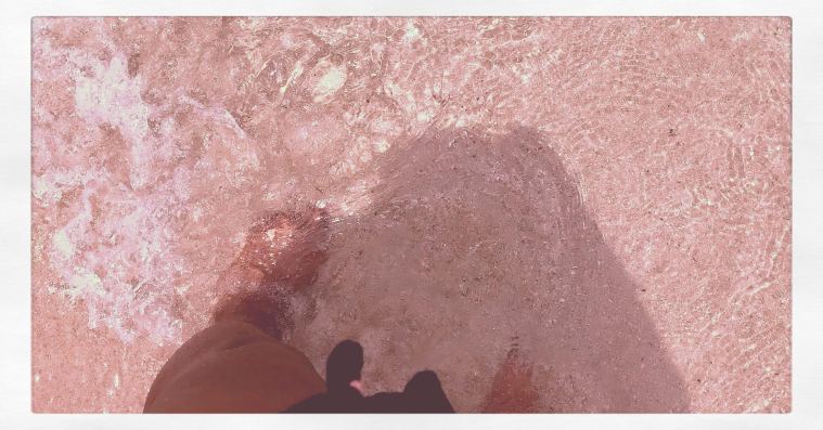 Ft Lauderdale Beach Pics 6